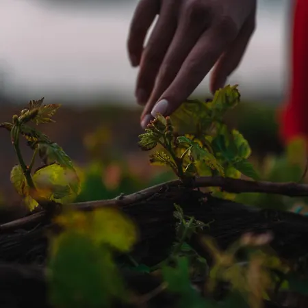 빌라 Nelya (adults Only)