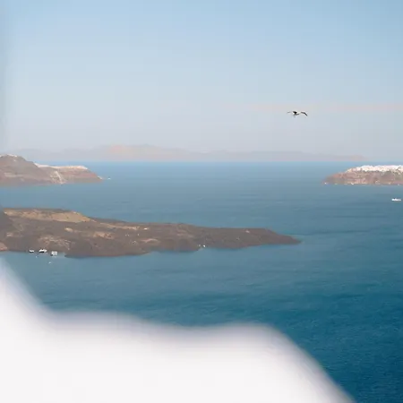 Nelya (adults Only) *